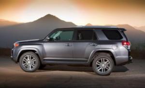 20104RUNNER.jpg